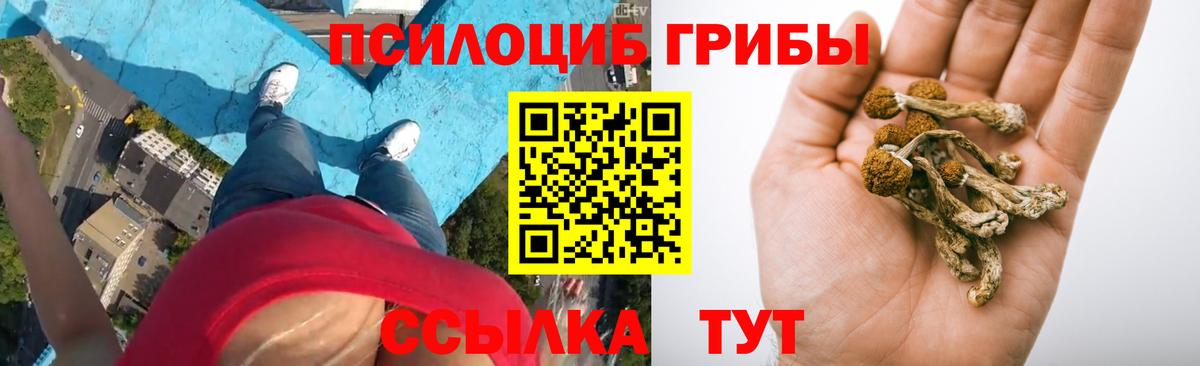 где купить наркотик  Вход с VPN  Краснотурьинск  Псилоцибиновые грибы мицелий  Галлюциногенные грибы GOLDEN TEACHER 